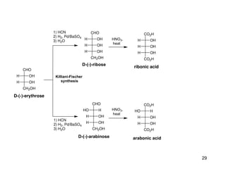 Carbohydrate Metabolism: Its biochemistry | PPT