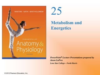 © 2012 Pearson Education, Inc.
PowerPoint® Lecture Presentations prepared by
Jason LaPres
Lone Star College—North Harris
25
Metabolism and
Energetics
 