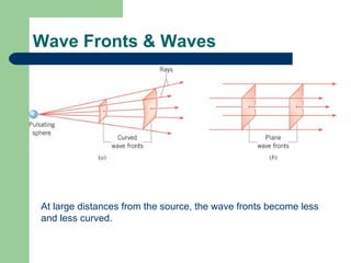 Wave Fronts & Waves At large distances from the source, the wave fronts become less and less curved. 