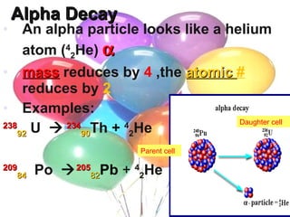 Alpha Decay An alpha particle looks like a helium atom ( 4 2 He)   mass  reduces by  4  ,the  atomic  #  reduces by  2 Examples: 238 92   U    234 90 Th +  4 2 He 209 84   Po   205 82 Pb   +   4 2 He Parent cell Daughter cell 