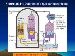 Figure 25.11:  Diagram of a nuclear power plant. A  controlled  fission chain reaction. 
