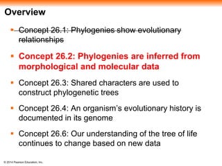 ch_26_-_phylogeny_and_the_tree_of_life.pptx
