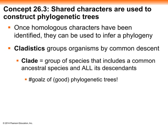 ch_26_-_phylogeny_and_the_tree_of_life.pptx