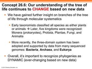 ch_26_-_phylogeny_and_the_tree_of_life.pptx
