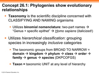 ch_26_-_phylogeny_and_the_tree_of_life.pptx