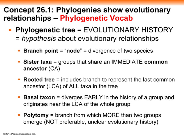 ch_26_-_phylogeny_and_the_tree_of_life.pptx