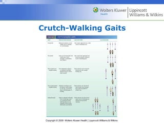 Crutch-Walking Gaits 