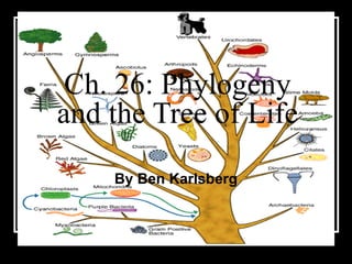 Ch. 26: Phylogeny and the Tree of Life By Ben Karlsberg 