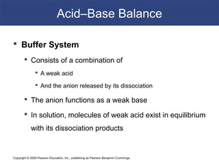 Copyright © 2009 Pearson Education, Inc., publishing as Pearson Benjamin Cummings
Acid–Base Balance
 Buffer System
 Consists of a combination of
 A weak acid
 And the anion released by its dissociation
 The anion functions as a weak base
 In solution, molecules of weak acid exist in equilibrium
with its dissociation products
 