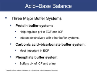 Copyright © 2009 Pearson Education, Inc., publishing as Pearson Benjamin Cummings
Acid–Base Balance
 Three Major Buffer Systems
 Protein buffer systems:
 Help regulate pH in ECF and ICF
 Interact extensively with other buffer systems
 Carbonic acid–bicarbonate buffer system:
 Most important in ECF
 Phosphate buffer system:
 Buffers pH of ICF and urine
 