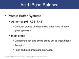 Copyright © 2009 Pearson Education, Inc., publishing as Pearson Benjamin Cummings
Acid–Base Balance
 Protein Buffer Systems
 At normal pH (7.35–7.45)
 Carboxyl groups of most amino acids have already
given up their H+
 If pH drops
 Carboxylate ion and amino group act as weak bases
 Accept H+
 Form carboxyl group and amino ion
 
