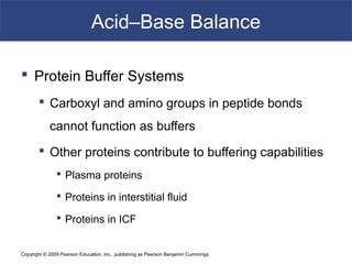 Copyright © 2009 Pearson Education, Inc., publishing as Pearson Benjamin Cummings
Acid–Base Balance
 Protein Buffer Systems
 Carboxyl and amino groups in peptide bonds
cannot function as buffers
 Other proteins contribute to buffering capabilities
 Plasma proteins
 Proteins in interstitial fluid
 Proteins in ICF
 