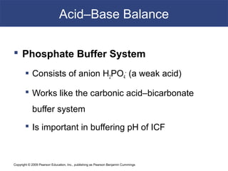 Copyright © 2009 Pearson Education, Inc., publishing as Pearson Benjamin Cummings
Acid–Base Balance
 Phosphate Buffer System
 Consists of anion H2PO4
-
(a weak acid)
 Works like the carbonic acid–bicarbonate
buffer system
 Is important in buffering pH of ICF
 