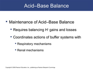 Copyright © 2009 Pearson Education, Inc., publishing as Pearson Benjamin Cummings
Acid–Base Balance
 Maintenance of Acid–Base Balance
 Requires balancing H+
gains and losses
 Coordinates actions of buffer systems with
 Respiratory mechanisms
 Renal mechanisms
 