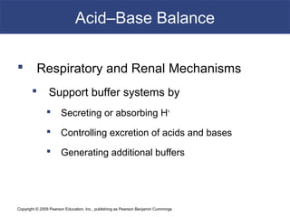Copyright © 2009 Pearson Education, Inc., publishing as Pearson Benjamin Cummings
Acid–Base Balance
 Respiratory and Renal Mechanisms
 Support buffer systems by
 Secreting or absorbing H+
 Controlling excretion of acids and bases
 Generating additional buffers
 
