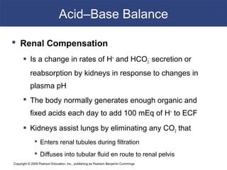 Copyright © 2009 Pearson Education, Inc., publishing as Pearson Benjamin Cummings
Acid–Base Balance
 Renal Compensation
 Is a change in rates of H+
and HCO3
-
secretion or
reabsorption by kidneys in response to changes in
plasma pH
 The body normally generates enough organic and
fixed acids each day to add 100 mEq of H+
to ECF
 Kidneys assist lungs by eliminating any CO2 that
 Enters renal tubules during filtration
 Diffuses into tubular fluid en route to renal pelvis
 