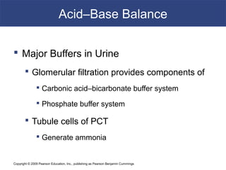 Copyright © 2009 Pearson Education, Inc., publishing as Pearson Benjamin Cummings
Acid–Base Balance
 Major Buffers in Urine
 Glomerular filtration provides components of
 Carbonic acid–bicarbonate buffer system
 Phosphate buffer system
 Tubule cells of PCT
 Generate ammonia
 