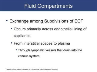 Copyright © 2009 Pearson Education, Inc., publishing as Pearson Benjamin Cummings
Fluid Compartments
 Exchange among Subdivisions of ECF
 Occurs primarily across endothelial lining of
capillaries
 From interstitial spaces to plasma
 Through lymphatic vessels that drain into the
venous system
 