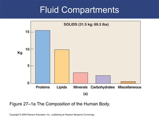 Copyright © 2009 Pearson Education, Inc., publishing as Pearson Benjamin Cummings
Fluid Compartments
Figure 27–1a The Composition of the Human Body.
 