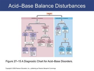 Copyright © 2009 Pearson Education, Inc., publishing as Pearson Benjamin Cummings
Acid–Base Balance Disturbances
Figure 27–15 A Diagnostic Chart for Acid–Base Disorders.
 