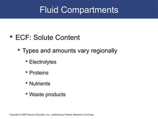 Copyright © 2009 Pearson Education, Inc., publishing as Pearson Benjamin Cummings
Fluid Compartments
 ECF: Solute Content
 Types and amounts vary regionally
 Electrolytes
 Proteins
 Nutrients
 Waste products
 