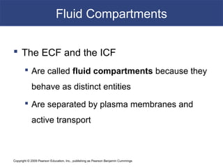 Copyright © 2009 Pearson Education, Inc., publishing as Pearson Benjamin Cummings
Fluid Compartments
 The ECF and the ICF
 Are called fluid compartments because they
behave as distinct entities
 Are separated by plasma membranes and
active transport
 