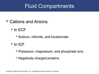Copyright © 2009 Pearson Education, Inc., publishing as Pearson Benjamin Cummings
Fluid Compartments
 Cations and Anions
 In ECF
 Sodium, chloride, and bicarbonate
 In ICF
 Potassium, magnesium, and phosphate ions
 Negatively charged proteins
 