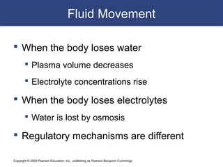 Copyright © 2009 Pearson Education, Inc., publishing as Pearson Benjamin Cummings
Fluid Movement
 When the body loses water
 Plasma volume decreases
 Electrolyte concentrations rise
 When the body loses electrolytes
 Water is lost by osmosis
 Regulatory mechanisms are different
 