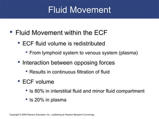 Copyright © 2009 Pearson Education, Inc., publishing as Pearson Benjamin Cummings
Fluid Movement
 Fluid Movement within the ECF
 ECF fluid volume is redistributed
 From lymphoid system to venous system (plasma)
 Interaction between opposing forces
 Results in continuous filtration of fluid
 ECF volume
 Is 80% in interstitial fluid and minor fluid compartment
 Is 20% in plasma
 