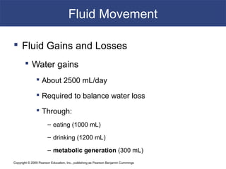 Copyright © 2009 Pearson Education, Inc., publishing as Pearson Benjamin Cummings
Fluid Movement
 Fluid Gains and Losses
 Water gains
 About 2500 mL/day
 Required to balance water loss
 Through:
– eating (1000 mL)
– drinking (1200 mL)
– metabolic generation (300 mL)
 