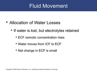 Copyright © 2009 Pearson Education, Inc., publishing as Pearson Benjamin Cummings
Fluid Movement
 Allocation of Water Losses
 If water is lost, but electrolytes retained
 ECF osmotic concentration rises
 Water moves from ICF to ECF
 Net change in ECF is small
 