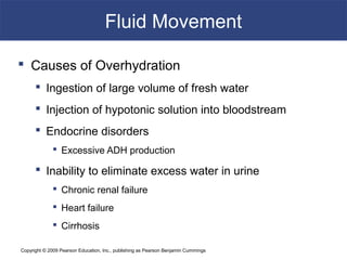 Copyright © 2009 Pearson Education, Inc., publishing as Pearson Benjamin Cummings
Fluid Movement
 Causes of Overhydration
 Ingestion of large volume of fresh water
 Injection of hypotonic solution into bloodstream
 Endocrine disorders
 Excessive ADH production
 Inability to eliminate excess water in urine
 Chronic renal failure
 Heart failure
 Cirrhosis
 