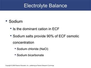 Copyright © 2009 Pearson Education, Inc., publishing as Pearson Benjamin Cummings
Electrolyte Balance
 Sodium
 Is the dominant cation in ECF
 Sodium salts provide 90% of ECF osmotic
concentration
 Sodium chloride (NaCl)
 Sodium bicarbonate
 