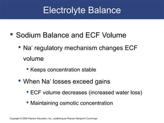 Copyright © 2009 Pearson Education, Inc., publishing as Pearson Benjamin Cummings
Electrolyte Balance
 Sodium Balance and ECF Volume
 Na+
regulatory mechanism changes ECF
volume
 Keeps concentration stable
 When Na+
losses exceed gains
 ECF volume decreases (increased water loss)
 Maintaining osmotic concentration
 