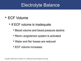 Copyright © 2009 Pearson Education, Inc., publishing as Pearson Benjamin Cummings
Electrolyte Balance
 ECF Volume
 If ECF volume is inadequate
 Blood volume and blood pressure decline
 Renin–angiotensin system is activated
 Water and Na+
losses are reduced
 ECF volume increases
 