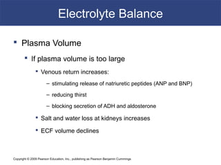 Copyright © 2009 Pearson Education, Inc., publishing as Pearson Benjamin Cummings
Electrolyte Balance
 Plasma Volume
 If plasma volume is too large
 Venous return increases:
– stimulating release of natriuretic peptides (ANP and BNP)
– reducing thirst
– blocking secretion of ADH and aldosterone
 Salt and water loss at kidneys increases
 ECF volume declines
 
