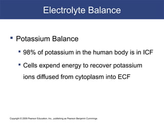Copyright © 2009 Pearson Education, Inc., publishing as Pearson Benjamin Cummings
Electrolyte Balance
 Potassium Balance
 98% of potassium in the human body is in ICF
 Cells expend energy to recover potassium
ions diffused from cytoplasm into ECF
 
