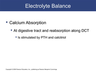 Copyright © 2009 Pearson Education, Inc., publishing as Pearson Benjamin Cummings
Electrolyte Balance
 Calcium Absorption
 At digestive tract and reabsorption along DCT
 Is stimulated by PTH and calcitriol
 
