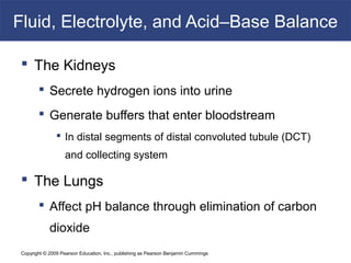 Copyright © 2009 Pearson Education, Inc., publishing as Pearson Benjamin Cummings
Fluid, Electrolyte, and Acid–Base Balance
 The Kidneys
 Secrete hydrogen ions into urine
 Generate buffers that enter bloodstream
 In distal segments of distal convoluted tubule (DCT)
and collecting system
 The Lungs
 Affect pH balance through elimination of carbon
dioxide
 