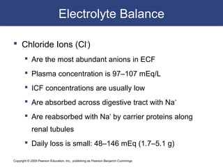 Copyright © 2009 Pearson Education, Inc., publishing as Pearson Benjamin Cummings
Electrolyte Balance
 Chloride Ions (Cl-
)
 Are the most abundant anions in ECF
 Plasma concentration is 97–107 mEq/L
 ICF concentrations are usually low
 Are absorbed across digestive tract with Na+
 Are reabsorbed with Na+
by carrier proteins along
renal tubules
 Daily loss is small: 48–146 mEq (1.7–5.1 g)
 