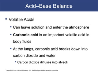 Copyright © 2009 Pearson Education, Inc., publishing as Pearson Benjamin Cummings
Acid–Base Balance
 Volatile Acids
 Can leave solution and enter the atmosphere
 Carbonic acid is an important volatile acid in
body fluids
 At the lungs, carbonic acid breaks down into
carbon dioxide and water
 Carbon dioxide diffuses into alveoli
 