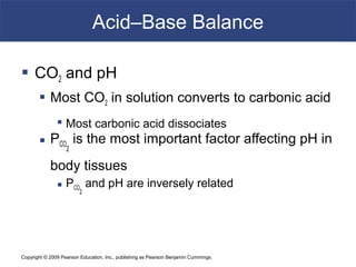 Copyright © 2009 Pearson Education, Inc., publishing as Pearson Benjamin Cummings
Acid–Base Balance
 CO2 and pH
 Most CO2 in solution converts to carbonic acid
 Most carbonic acid dissociates
 PCO
2
is the most important factor affecting pH in
body tissues
 PCO
2
and pH are inversely related
 