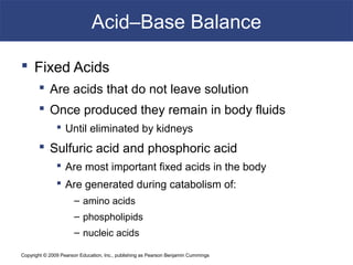 Copyright © 2009 Pearson Education, Inc., publishing as Pearson Benjamin Cummings
Acid–Base Balance
 Fixed Acids
 Are acids that do not leave solution
 Once produced they remain in body fluids
 Until eliminated by kidneys
 Sulfuric acid and phosphoric acid
 Are most important fixed acids in the body
 Are generated during catabolism of:
– amino acids
– phospholipids
– nucleic acids
 
