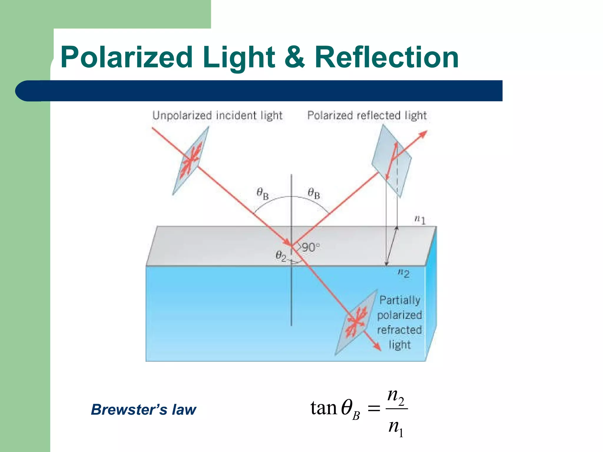 Polarized Light & Reflection Brewster’s law 