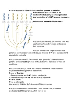 Ch 26 viruses checklist pt 1 (1) (1).pdf