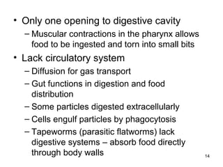 • Only one opening to digestive cavity
– Muscular contractions in the pharynx allows
food to be ingested and torn into small bits
• Lack circulatory system
– Diffusion for gas transport
– Gut functions in digestion and food
distribution
– Some particles digested extracellularly
– Cells engulf particles by phagocytosis
– Tapeworms (parasitic flatworms) lack
digestive systems – absorb food directly
through body walls 14
 
