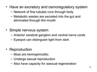 • Have an excretory and osmoregulatory system
– Network of fine tubules runs through body
– Metabolic wastes are excreted into the gut and
eliminated through the mouth
• Simple nervous system
– Anterior cerebral ganglion and ventral nerve cords
– Eyespot can distinguish light from dark
• Reproduction
– Most are hermaphroditic
– Undergo sexual reproduction
– Also have capacity for asexual regeneration
17
 