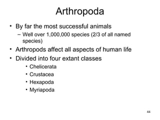• By far the most successful animals
– Well over 1,000,000 species (2/3 of all named
species)
• Arthropods affect all aspects of human life
• Divided into four extant classes
• Chelicerata
• Crustacea
• Hexapoda
• Myriapoda
44
 