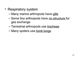 • Respiratory system
– Many marine arthropods have gills
– Some tiny arthropods have no structure for
gas exchange
– Terrestrial arthropods use tracheae
– Many spiders use book lungs
51
 