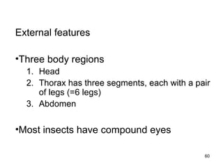 External features
•Three body regions
1. Head
2. Thorax has three segments, each with a pair
of legs (=6 legs)
3. Abdomen
•Most insects have compound eyes
60
 
